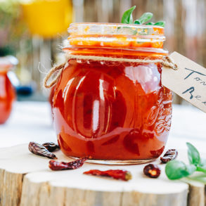 tomaten, rezept tomaten, tomaten rezepte, tomaten chutney, chutney rezept, chutney rezepte, relish rezept, tomaten relish, rezept dip, tomaten dip