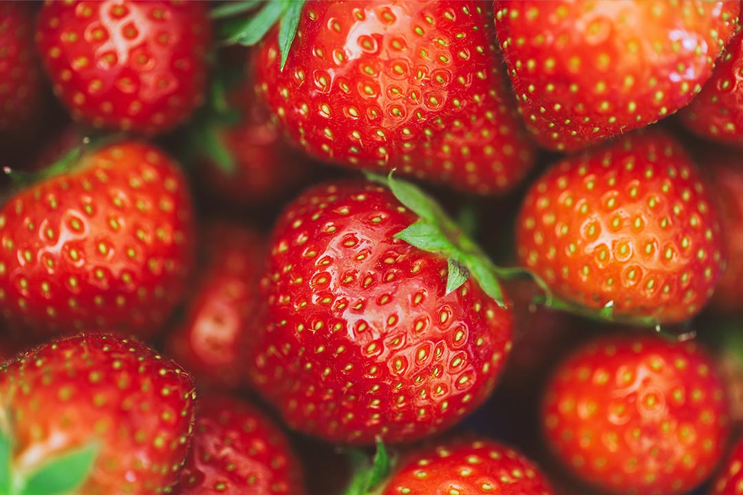 erdbeeren, erdbeeren kalorien, erdbeeren inhaltsstoffe, erdbeeren rezepte, erdbeeren kaufen, erdbeere nuss, erdbeere inhaltsstoffe, erdbeersorten, erdbeeren obst oder gemüse,