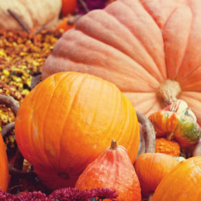 Kürbis hokkaido, hokkaido, butternut kürbis, kürbis rezepte, butternut, kürbis rezept, kürbis suppe, kürbissuppe, kürbis kartoffeln, kürbis schälen, kürbis ofen, kürbis kalorien, rezepte mit kürbis, kürbis gemüse, kürbis rezepte einfach, kürbis rezepte vegetarisch