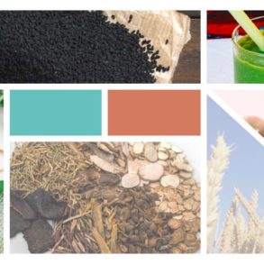 trend 2017, trend 2018, trends, neuer trend, trends 2017, trends 2018, neue trends, trends online, food trends, 2018