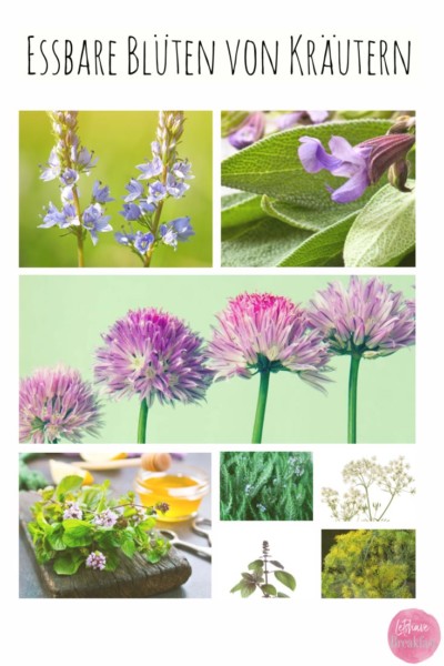 Essbare Blüten und blühende Kräuter Namen, Tipps und ein paar Ideen
