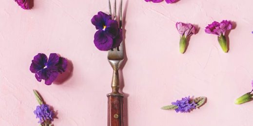 essbare blüten, essbare blüten kaufen, essbare blumen, essbare blüten rewe, kornblume, essbare blüten anbauen, essbare blüten rezepte, essbare blüten zum dekorieren,
