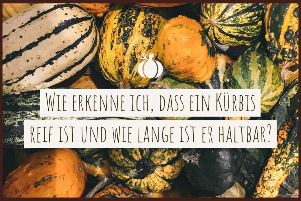 Wie man einen Kürbis im Ofen röstet › Foodblog ...