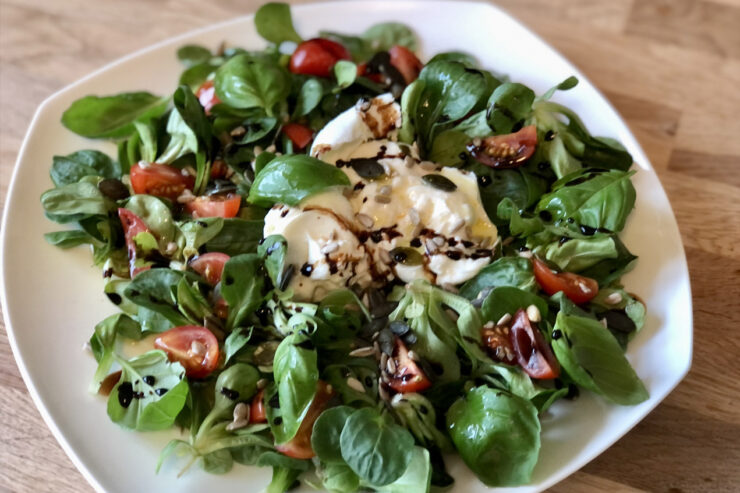 Wintersalat mit Büffelmozzarella