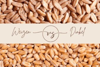 Weizen vs. Dinkel – die Körner im Direktvergleich, Vergleich Weizen- und Dinkelkörner, geteiltes Bild mit „Weizen vs Dinkel“ Typografie in der Mitte.
