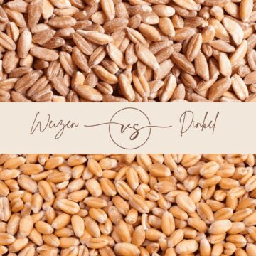 Weizen vs. Dinkel – die Körner im Direktvergleich, Vergleich Weizen- und Dinkelkörner, geteiltes Bild mit „Weizen vs Dinkel“ Typografie in der Mitte.