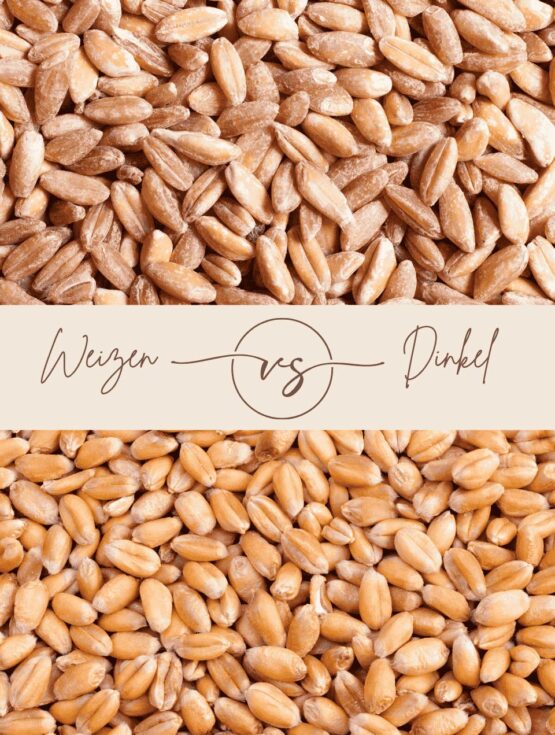 Weizen vs. Dinkel – die Körner im Direktvergleich, Vergleich Weizen- und Dinkelkörner, geteiltes Bild mit „Weizen vs Dinkel“ Typografie in der Mitte.