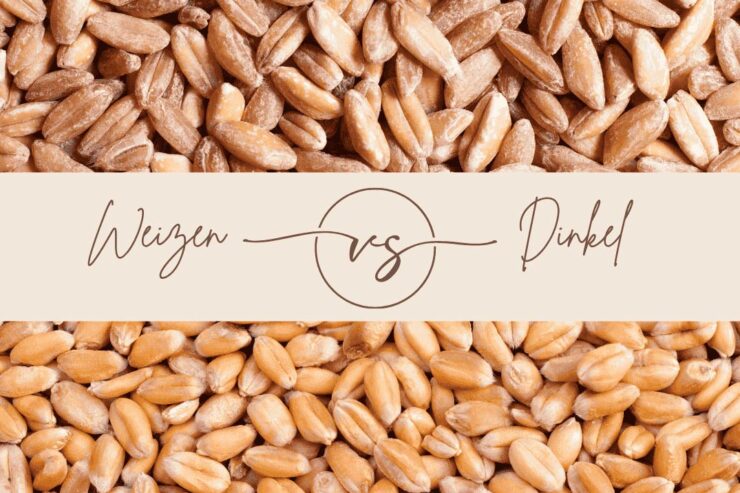 Weizen vs. Dinkel – die Körner im Direktvergleich, Vergleich Weizen- und Dinkelkörner, geteiltes Bild mit „Weizen vs Dinkel“ Typografie in der Mitte.